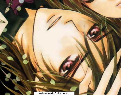 Kaname Kuran - ayame - Vampire Knight
