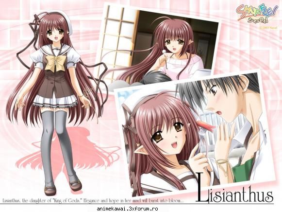 Lisianthus si Nerine - ayame - Shuffle