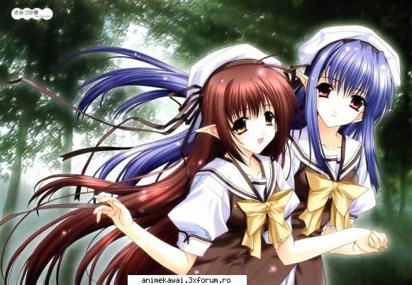 Lisianthus si Nerine - ayame - Shuffle